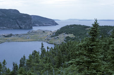 Image Source: https://www.thecanadianencyclopedia.ca/en/article/terra-nova-national-park