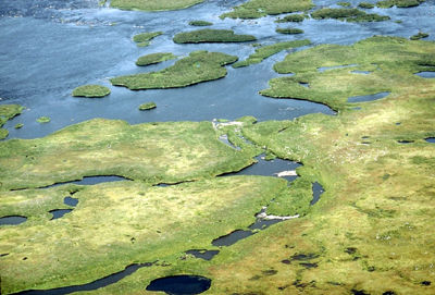 Image Source: https://www.thecanadianencyclopedia.ca/en/article/wapusk-national-park